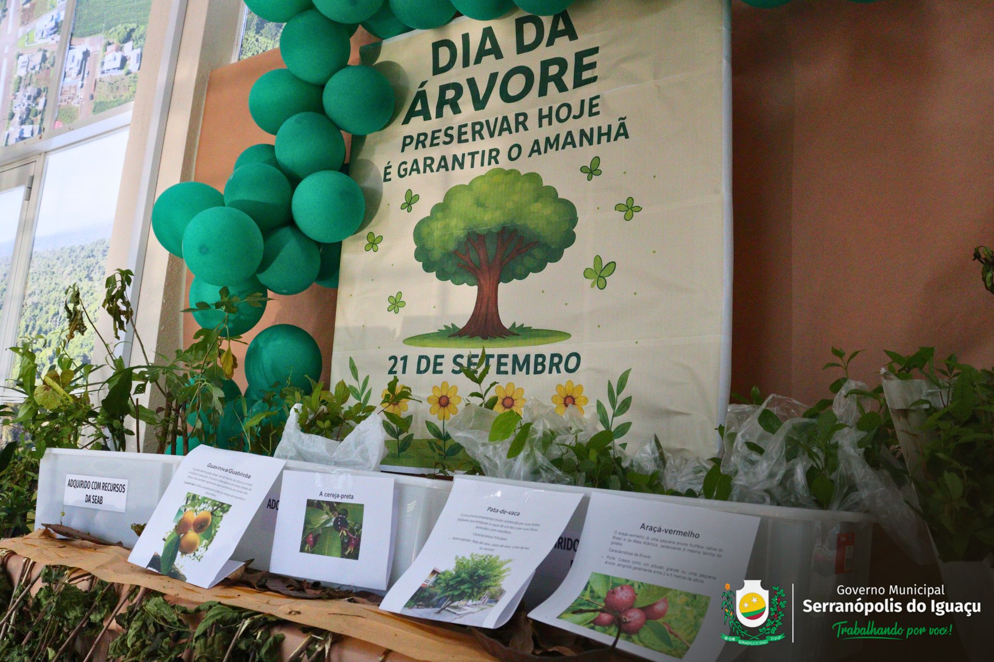 Dia da Árvore é marcado com distribuição gratuita de mudas em Serranópolis do Iguaçu