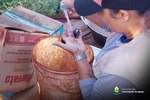 Serranópolis do Iguaçu decreta estado de Epidemia de Dengue Serranópolis do Iguaçu decreta estado de Epidemia de Dengue