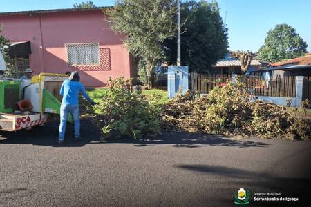 Iniciado o período de recolha de galhos em Serranópolis do Iguaçu Iniciado o período de recolha de galhos em Serranópolis do Iguaçu