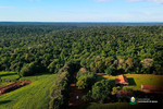 Dia Mundial do Meio Ambiente: Governo Municipal reforça ações de preservação e conscientização Dia Mundial do Meio Ambiente: Governo Municipal reforça ações de preservação e conscientização