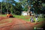 Secretaria de Agricultura e Meio Ambiente realiza plantio de árvores Secretaria de Agricultura e Meio Ambiente realiza plantio de árvores
