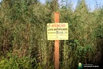 Proprietários de lotes com mato alto estão sendo notificados Proprietários de lotes com mato alto estão sendo notificados 
