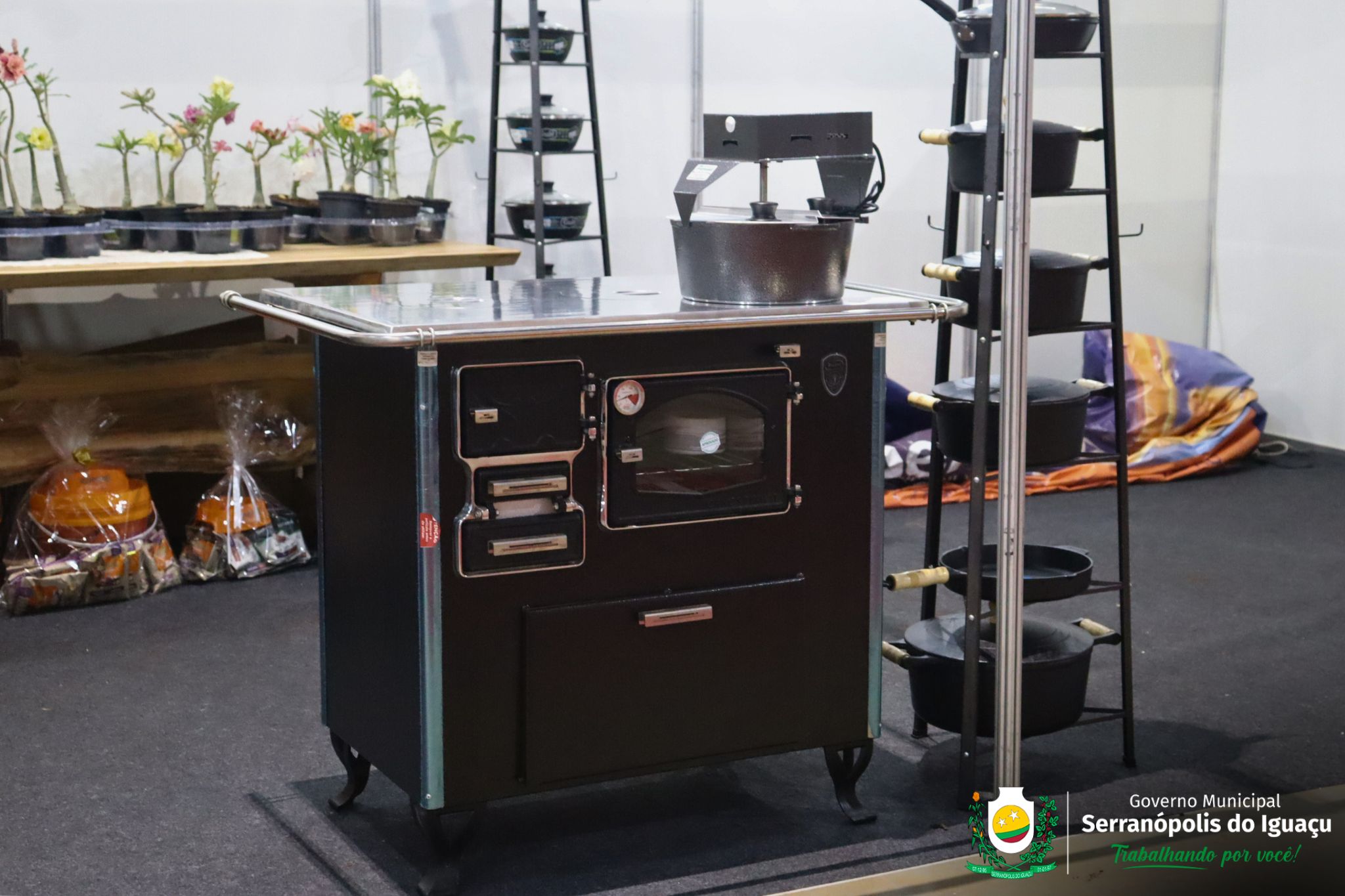 Expositores Expositores