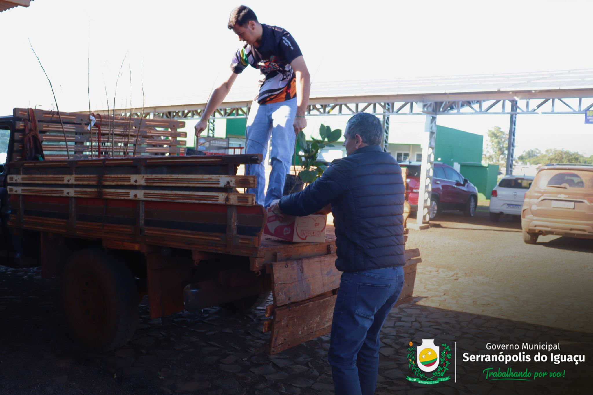 Governo Municipal incentiva arborização rural com entrega gratuita de mudas à população Governo Municipal incentiva arborização rural com entrega gratuita de mudas à população