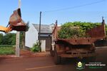Governo Municipal orienta sobre período de podas e recolhimento de materiais